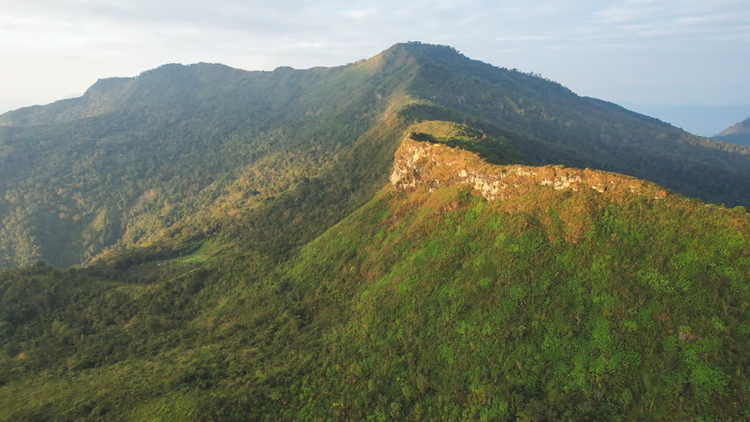Munnar