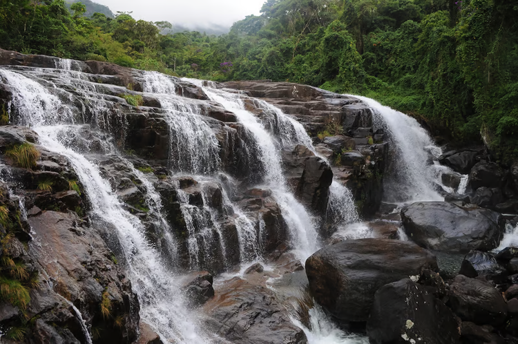Athirappilly,