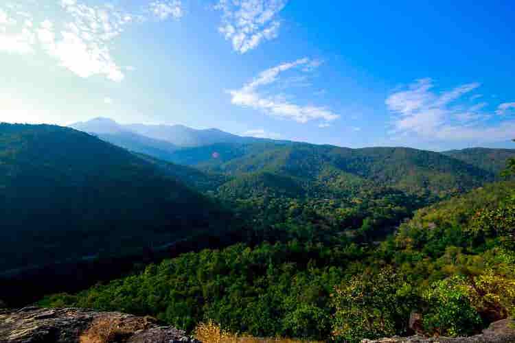 munnar