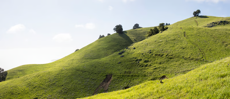 Vagamon