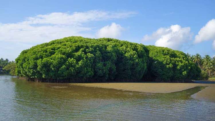 malapuram